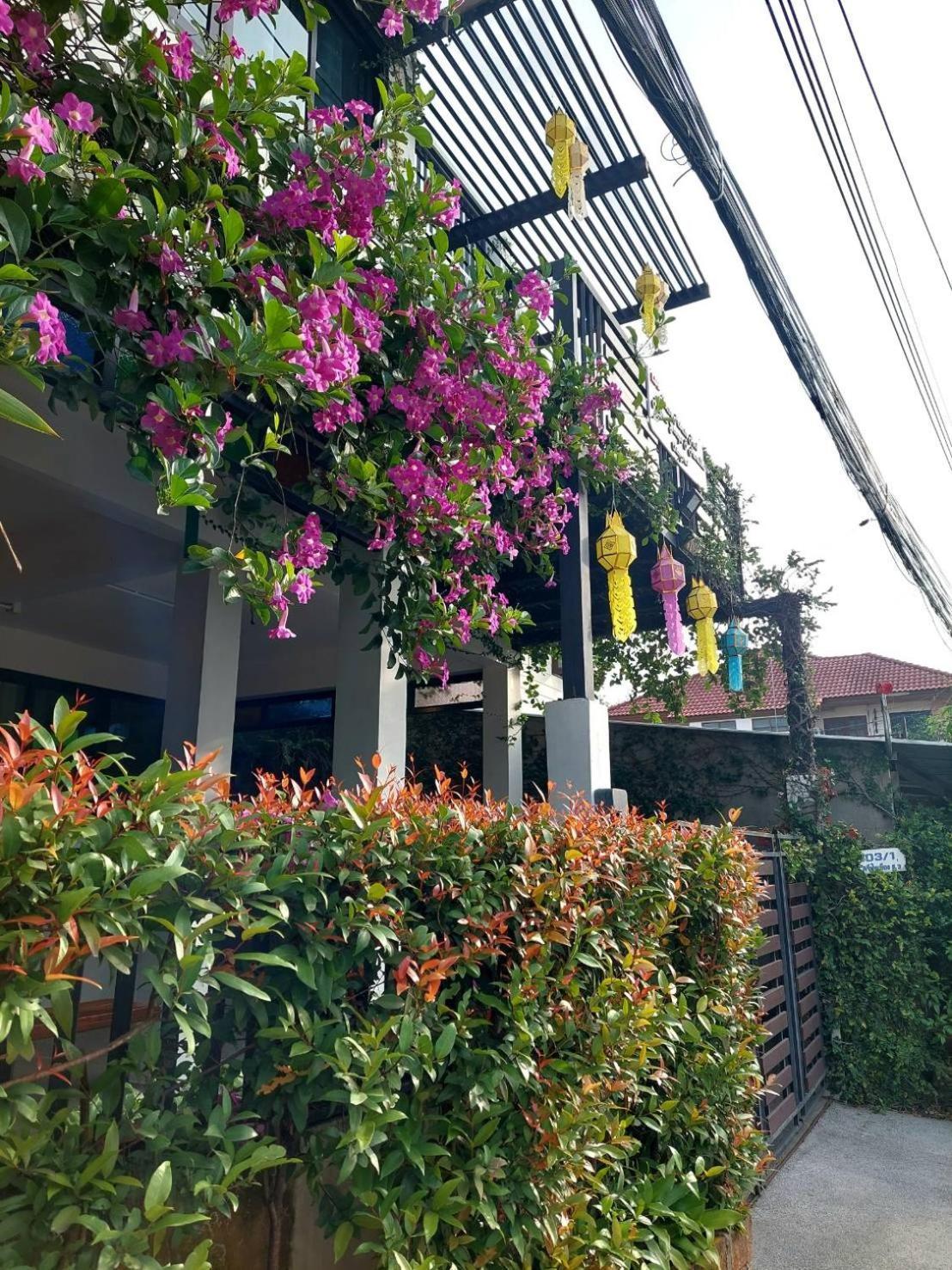 Вилла Ld8 House Private Pool Perfect Groups -Families Chiangmai Чиангмай Экстерьер фото